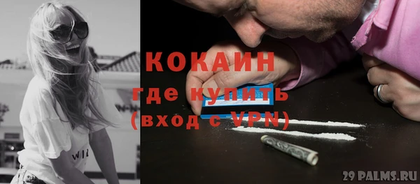 ПСИЛОЦИБИНОВЫЕ ГРИБЫ Гусев