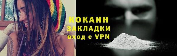 мяу мяу мука Дмитриев