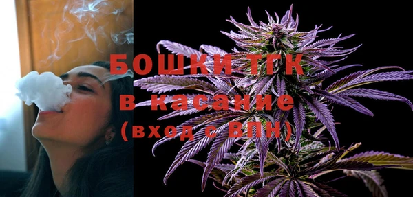 ПСИЛОЦИБИНОВЫЕ ГРИБЫ Гусев