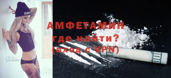 гашик Вяземский