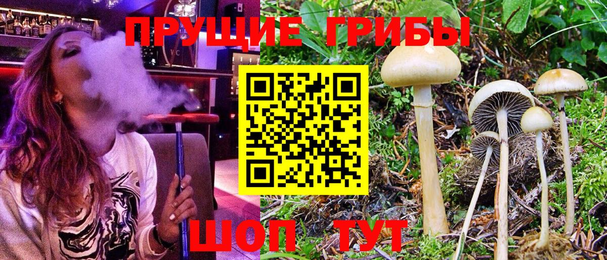 Псилоцибиновые грибы MAGIC MUSHROOMS Кингисепп