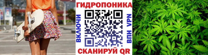 MEGA ссылки  Кингисепп  Шишки марихуана сатива 